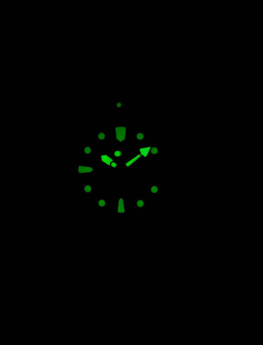 Ratio FreeDiver Professional 200M Sapphire Quartz 22AD202 Men's Watch