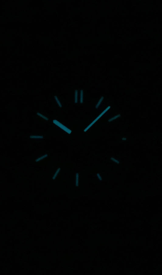 Citizen Zenshin Super Titanium Grey Dial Automatic NJ0180-80H 100M Men's Watch