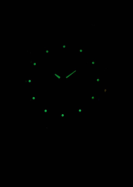 Seiko 5 Automatic 21 Jewels SNK621 SNK621K1 SNK621K Men's Watch