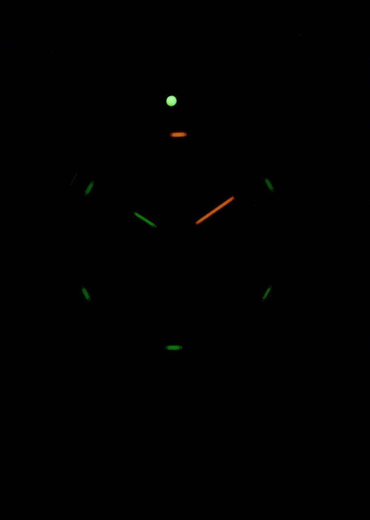 Luminox Leatherback Sea Turtle XS.0337 Quartz Men's Watch
