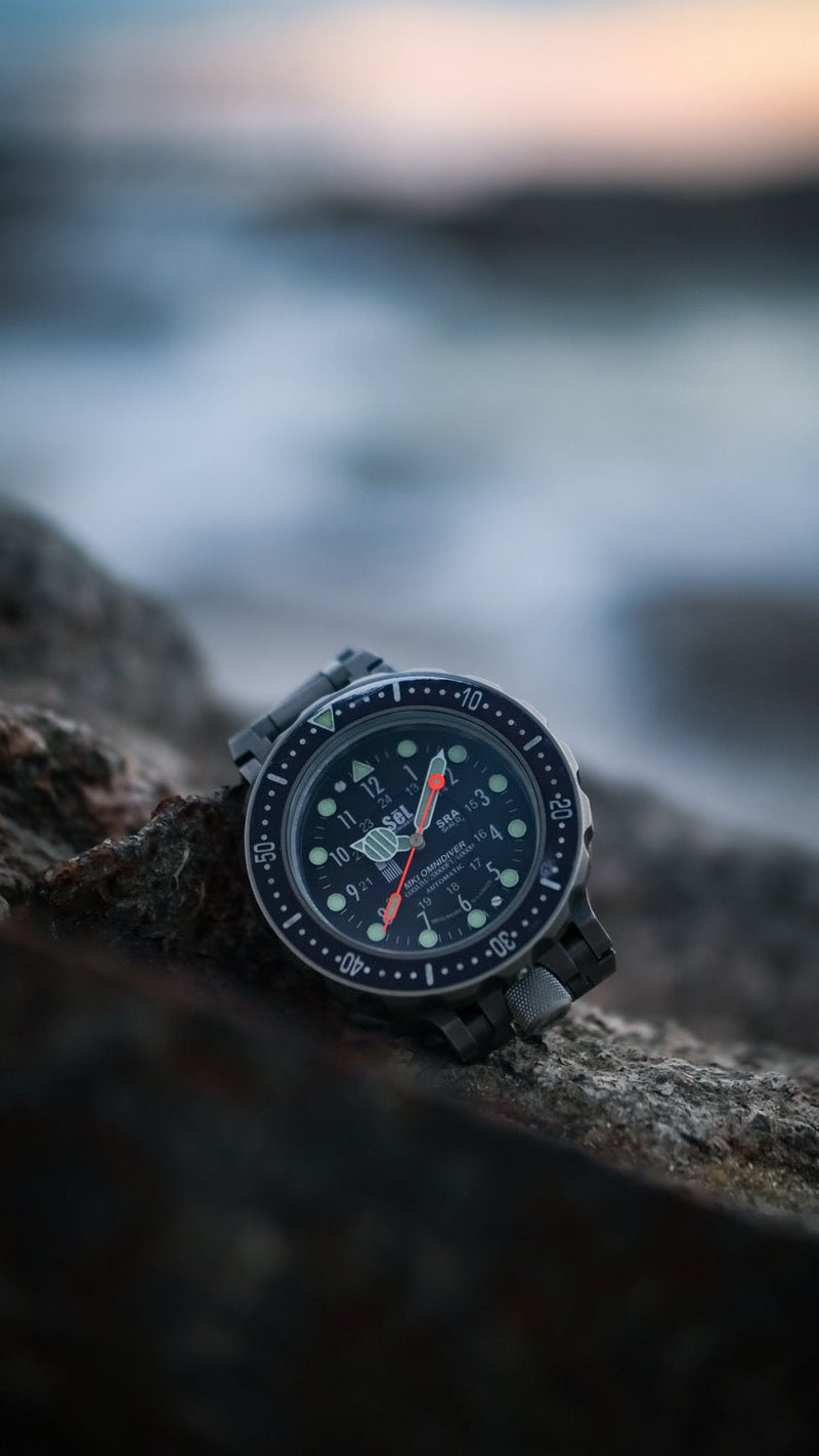SēL Instrument Omnidiver MK1