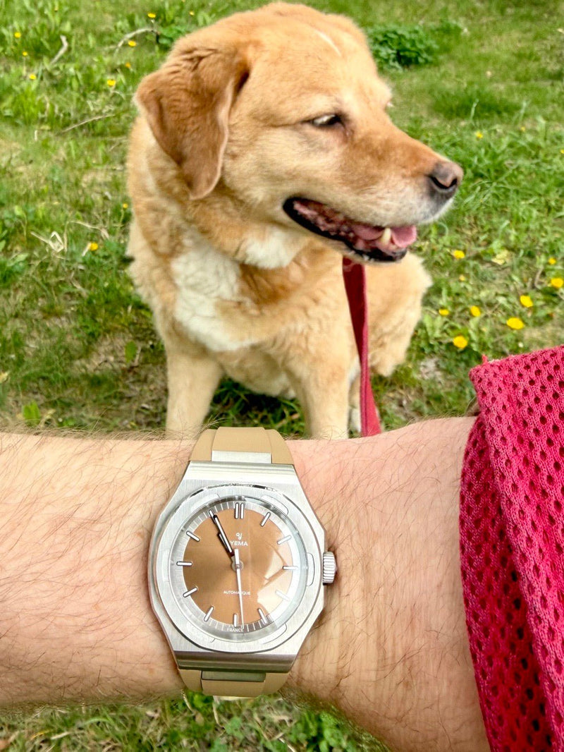 Yema Urban Traveller