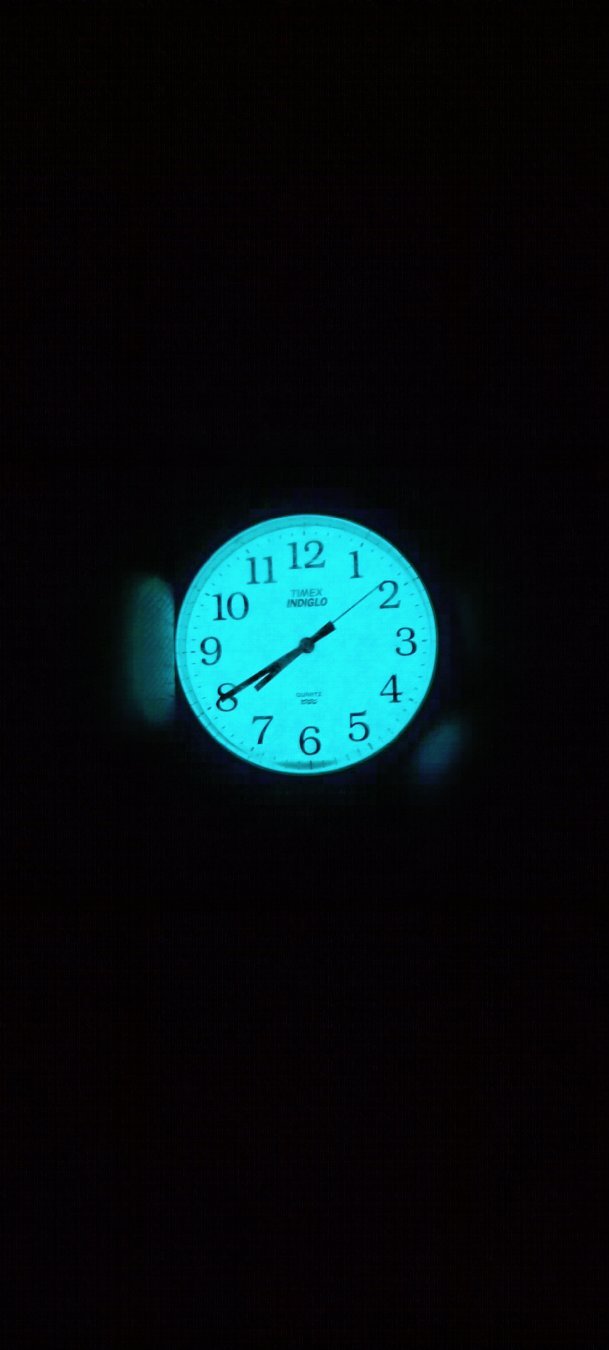 Timex Easy Reader