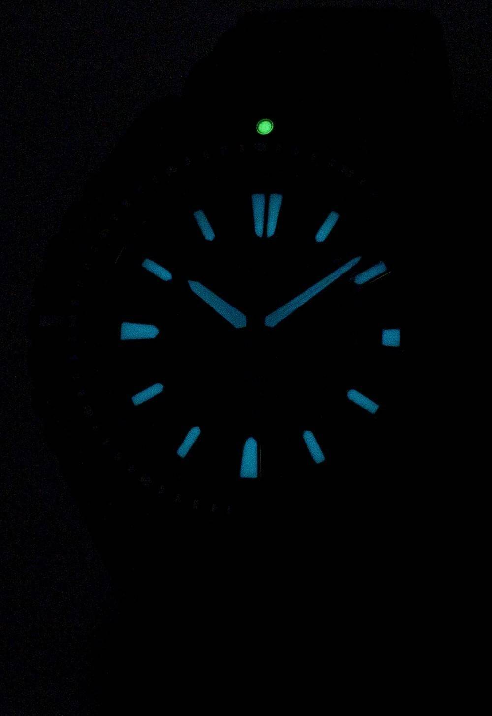 Citizen Promaster Diver's BN0195-54E Eco-Drive 200M Men's Watch