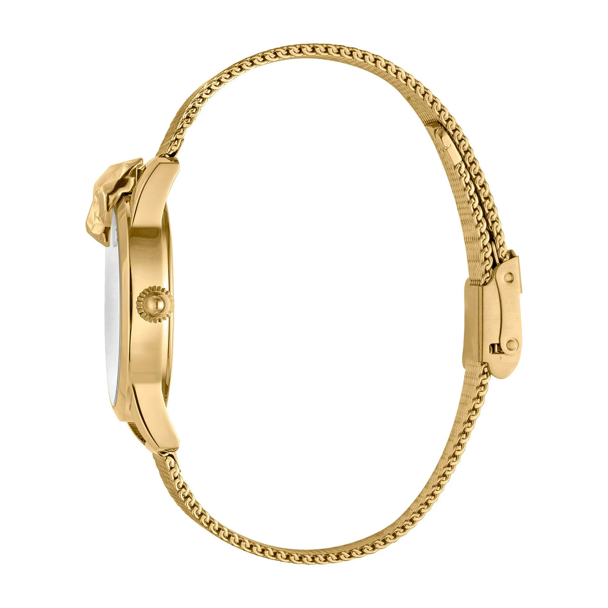 Just Cavalli JC Shine 2 Yellow Gold Glitter