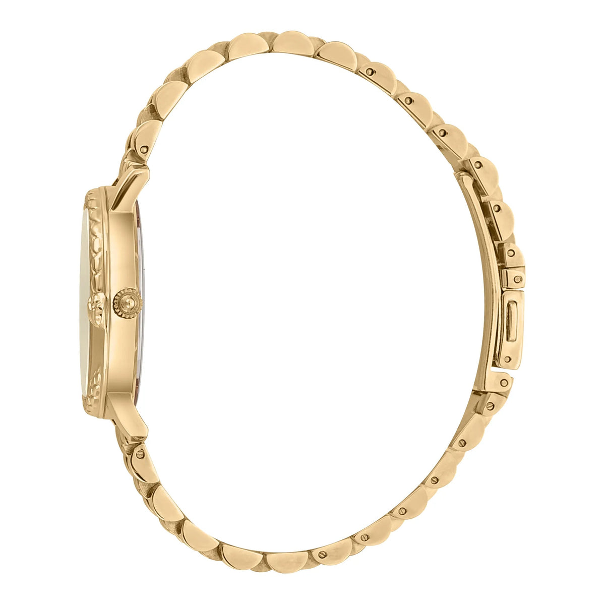 Just Cavalli Donna sempre Yellow Gold Champagne