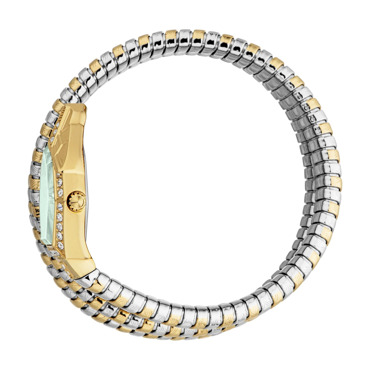 Just Cavalli Mesmerizing Two Tones YG Green