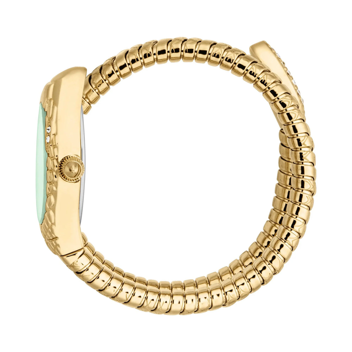 Just Cavalli Vetra Yellow Gold Green