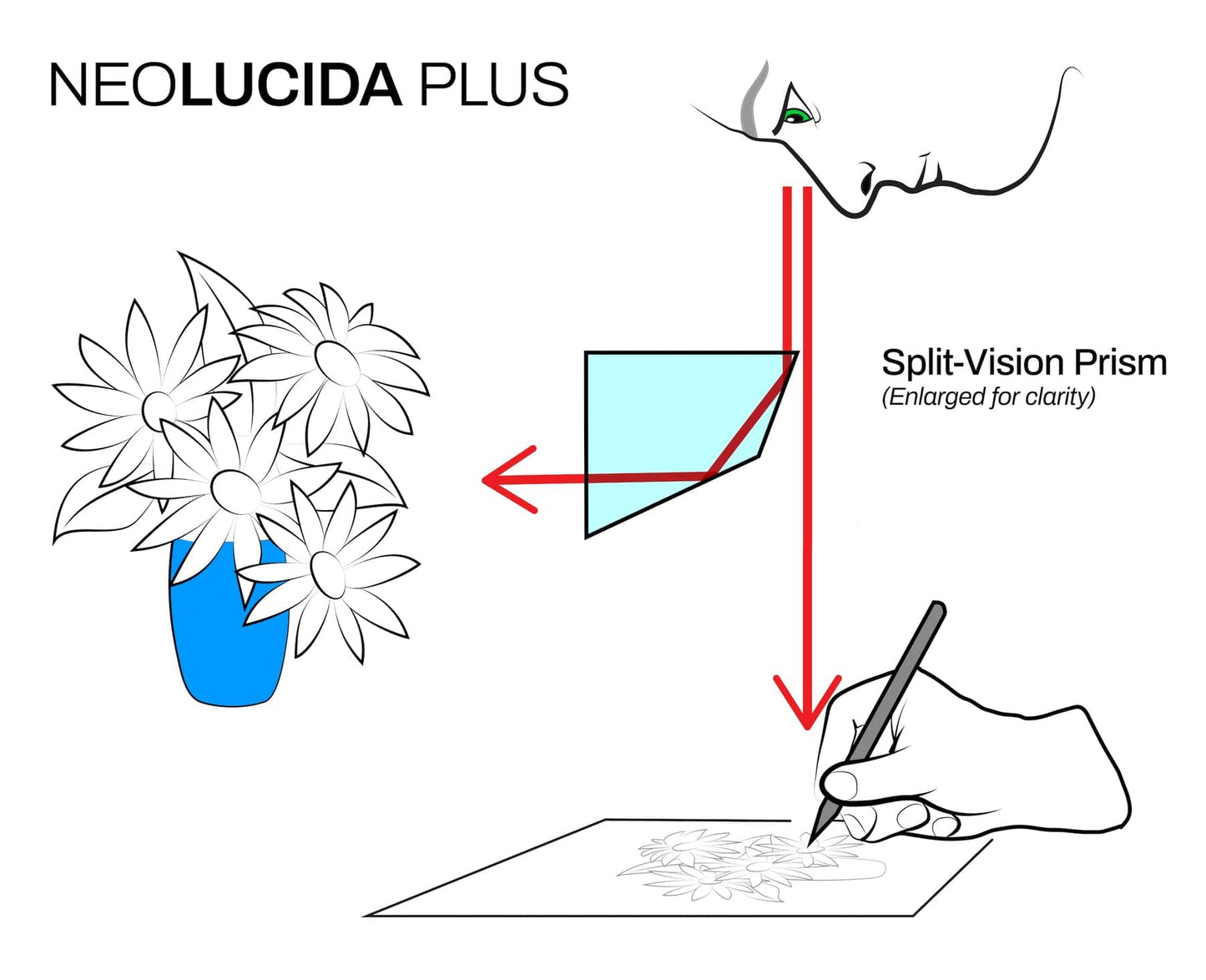 NeoLucida Deluxe