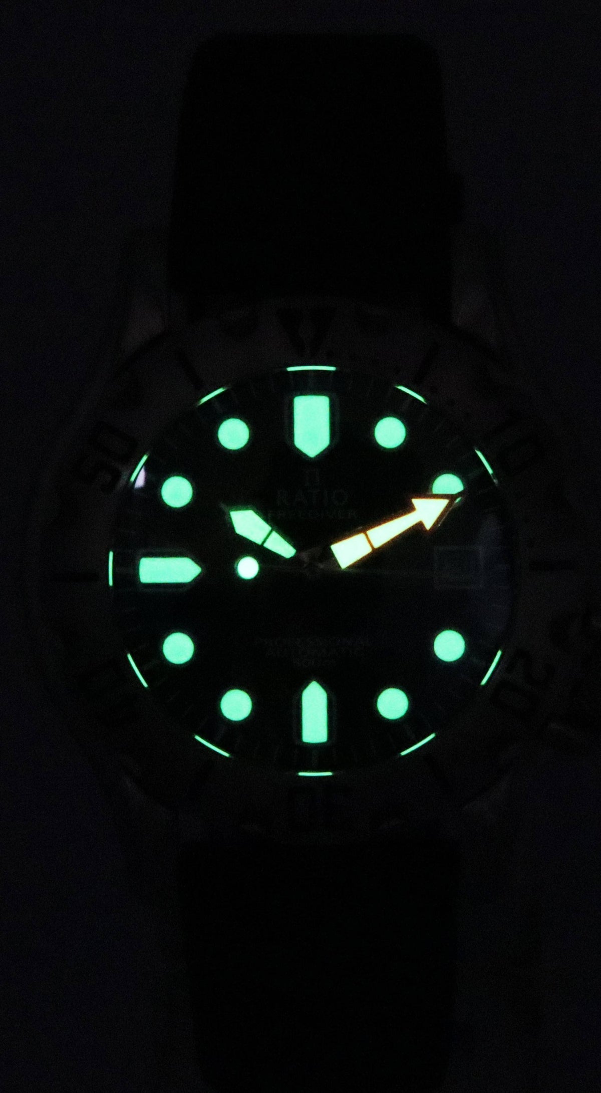 Ratio FreeDiver Professional Sapphire Black Dial Automatic RTF009 500M Men's Watch