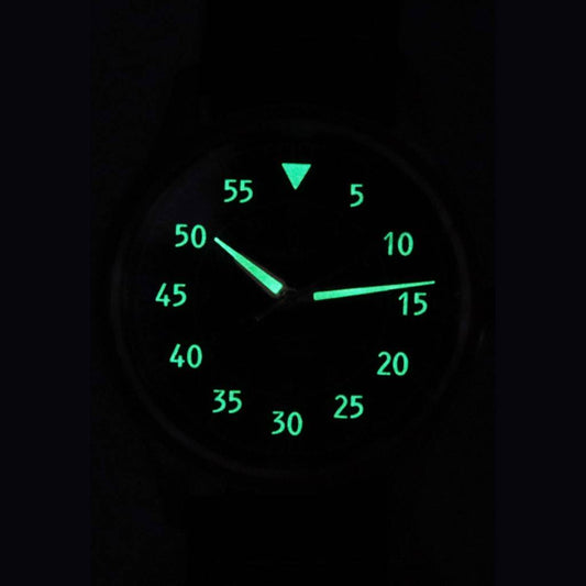 Ratio Skysurfer Pilot Blue Sunray Dial Leather Automatic RTS318 200M Men's Watch
