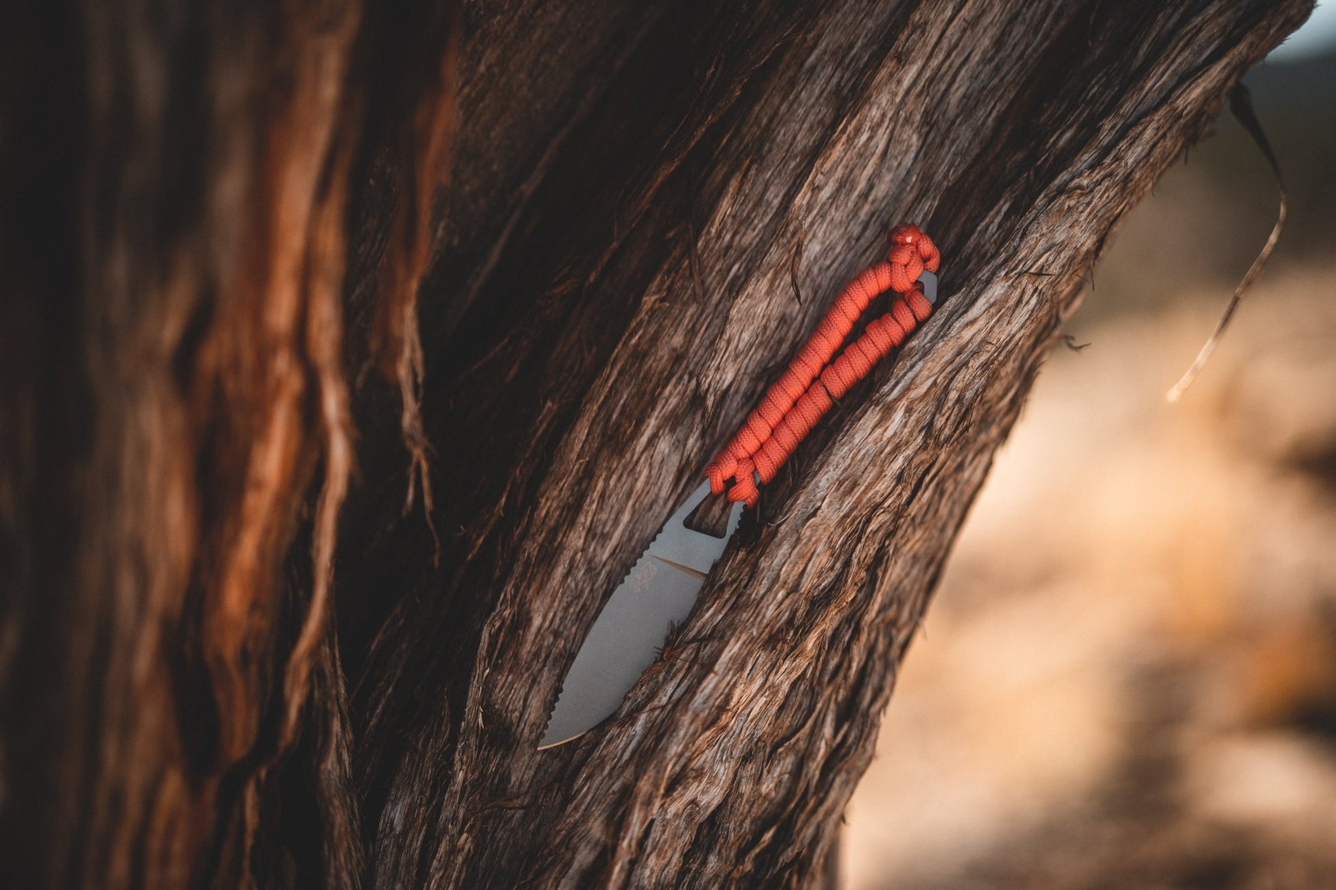 Ultralight Ridge Blade - Veloce - The App For Watch Collectors