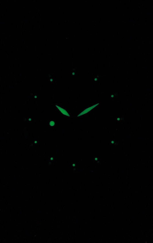 Seiko 5 Automatic  SNK809 SNK809K1 SNK809K  21 Jewel  Men's Watch