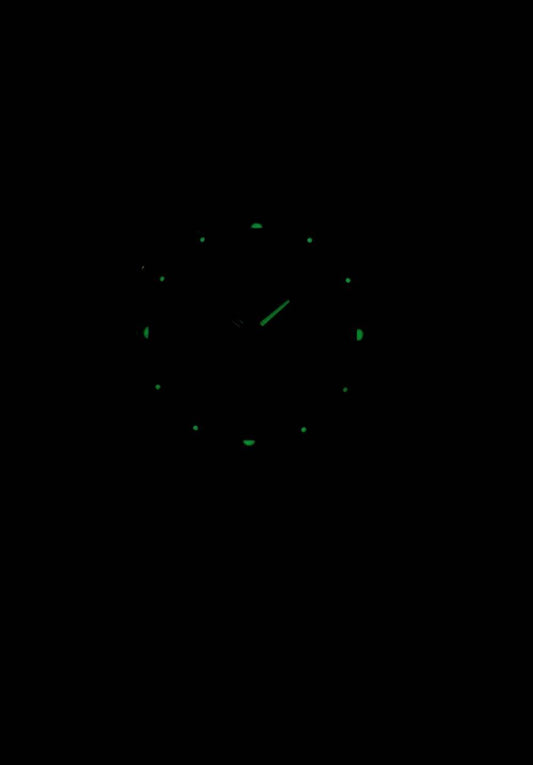 Seiko 5 Automatic SNKD99 SNKD99K1 SNKD99K Men's Watch