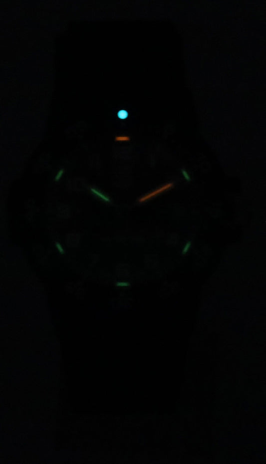 Luminox Leatherback Sea Turtle Silicone Strap Black Dial Quartz XS.0301.L 100M Men's Watch
