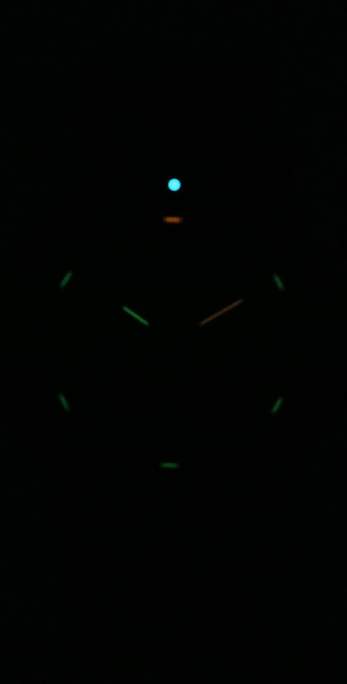 Luminox Leatherback Sea Turtle Silicone Strap Black Dial Quartz XS.0321.BO.L 100M Men's Watch