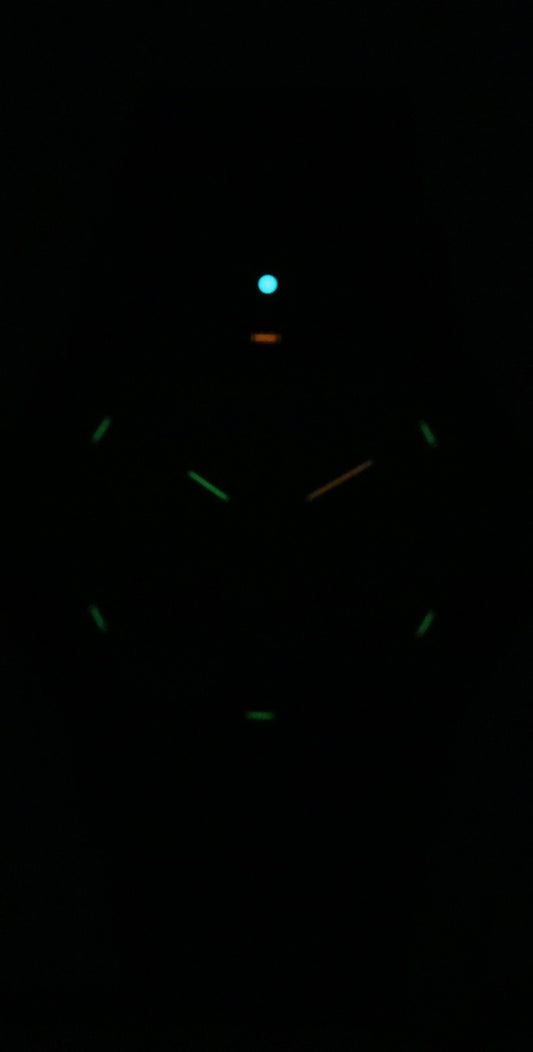 Luminox Leatherback Sea Turtle Silicone Strap Black Dial Quartz XS.0321.BO.L 100M Men's Watch
