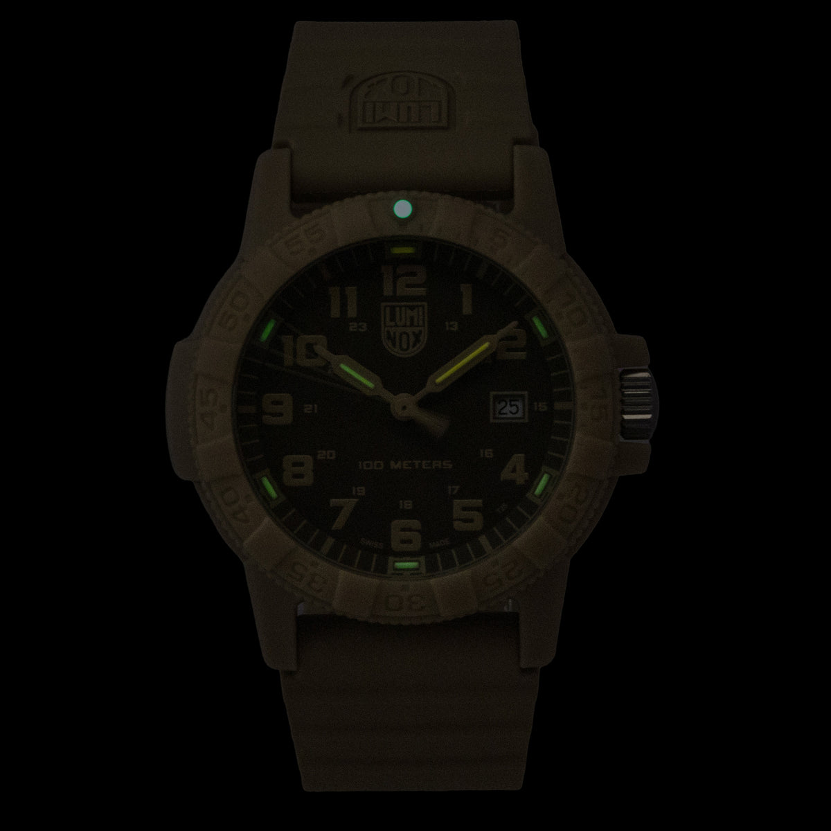 Luminox Leatherback SEA Turtle Sand Dial Quartz XS.0326 100M Men's Watch