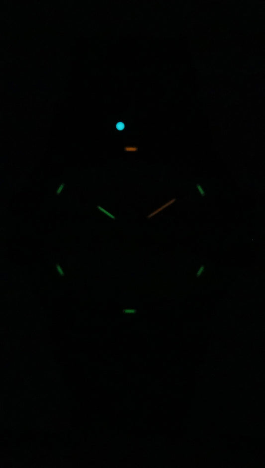 Luminox Leatherback Sea Turtle Giant PU Strap Black Dial Quartz XS.0330 100M Men's Watch