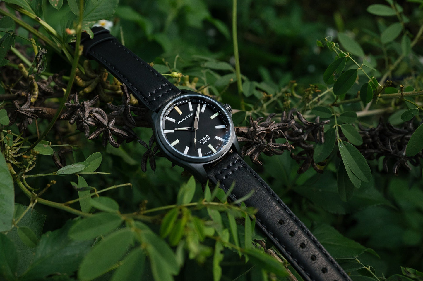 ProTek - Watch - Model PT3102 - Veloce - The App For Watch Collectors