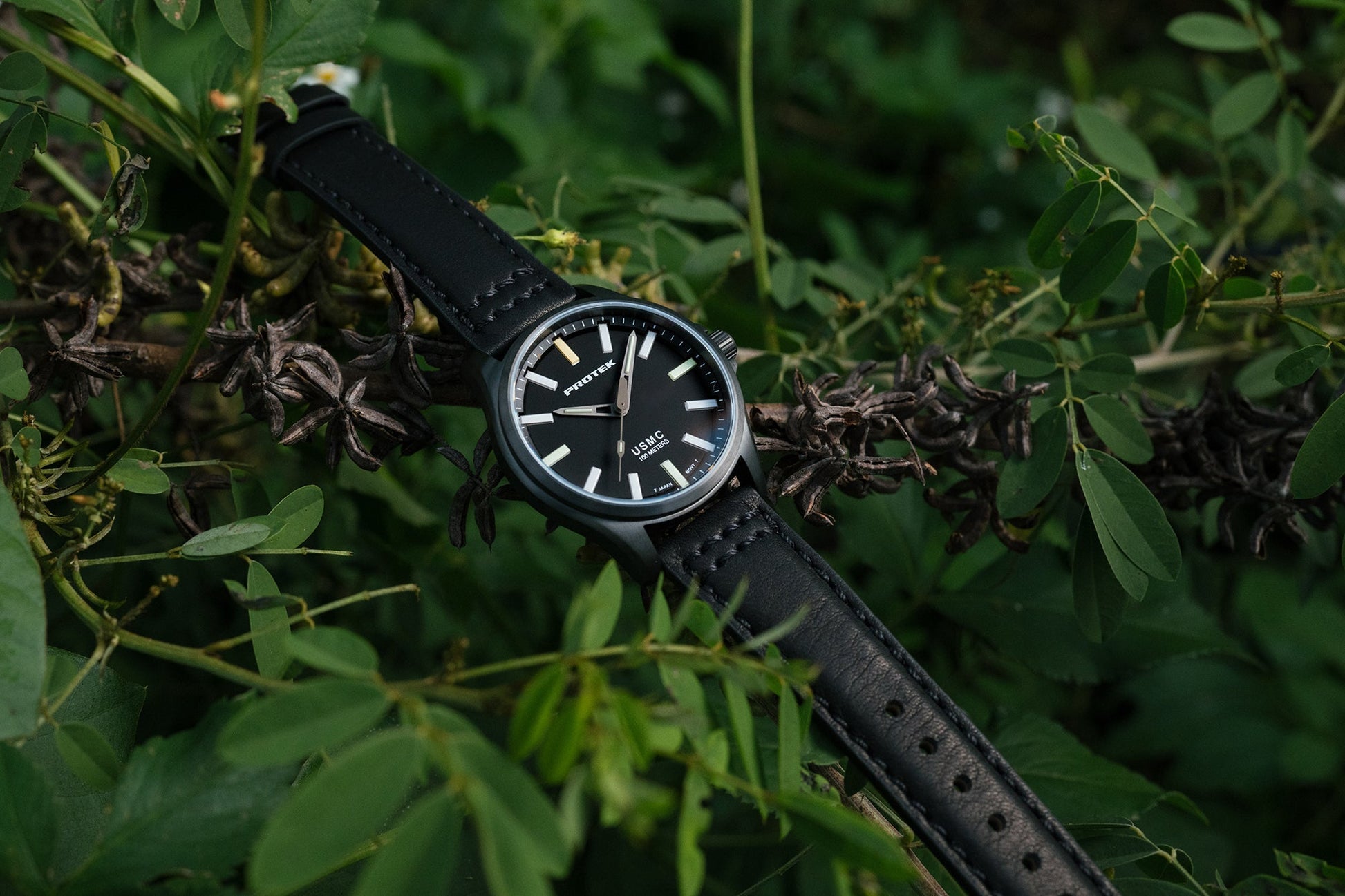 ProTek - Watch - Model PT3102 - Veloce - The App For Watch Collectors