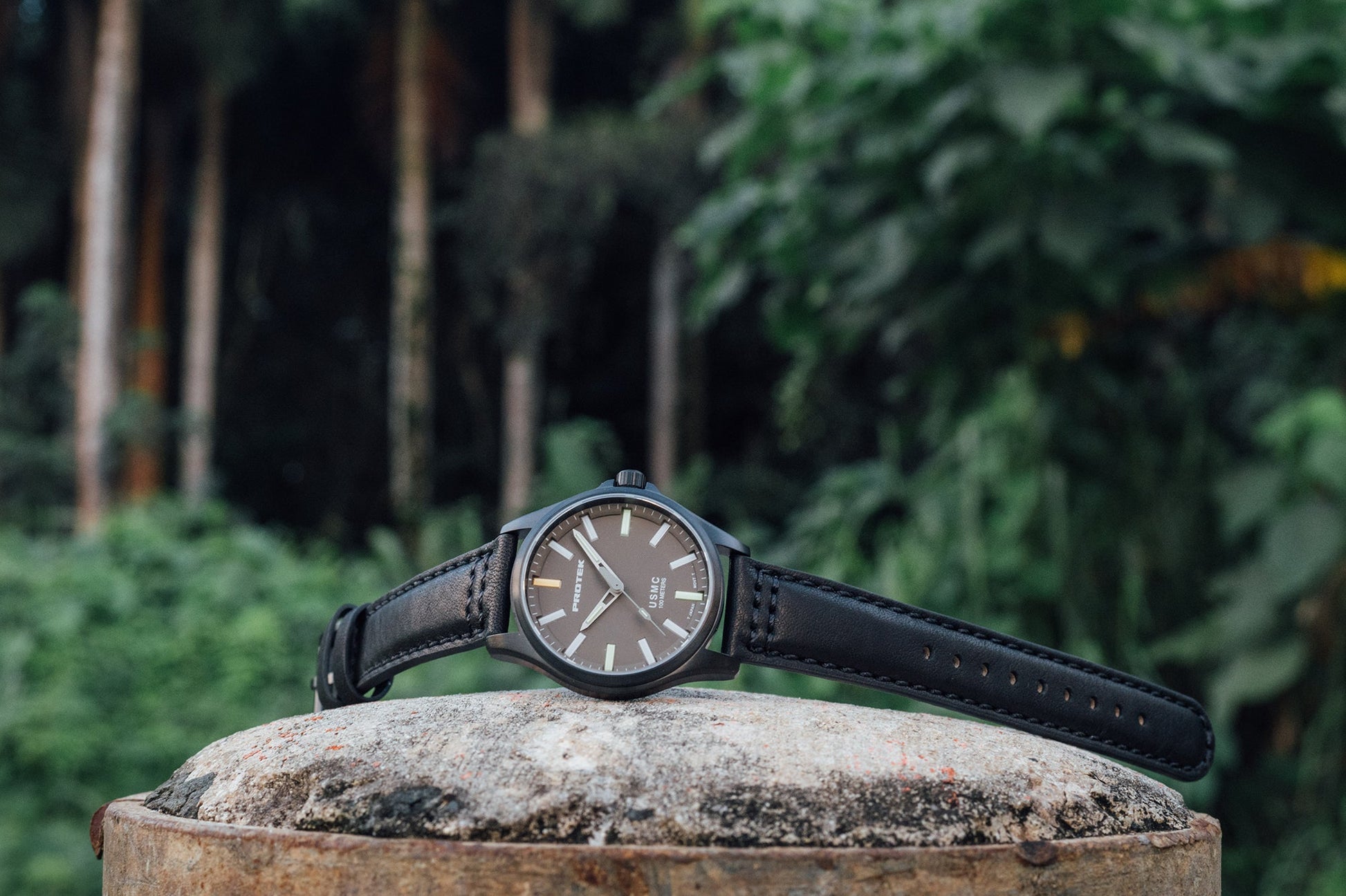 ProTek - Watch - Model PT3106 - Veloce - The App For Watch Collectors