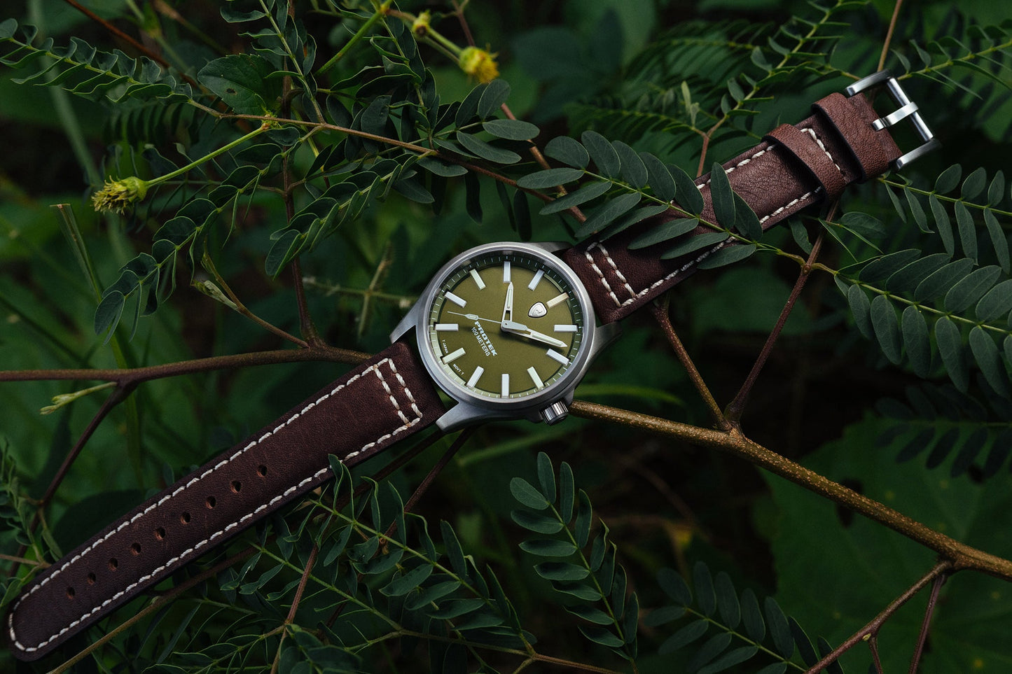 ProTek - Watch - Model PT3005 - Veloce - The App For Watch Collectors