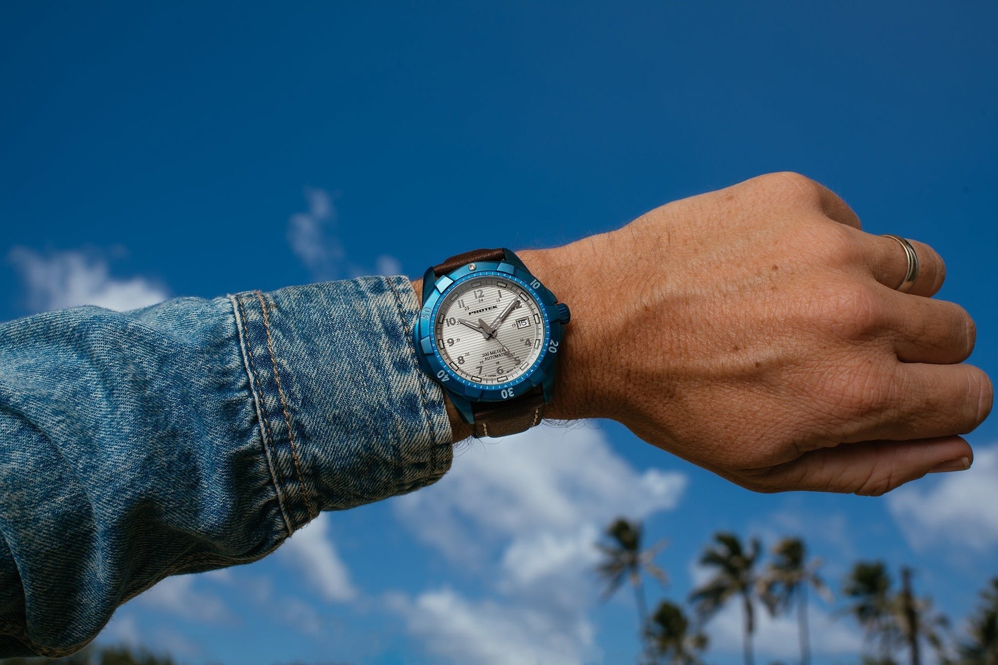 ProTek - Watch - Model PT2213 - Veloce - The App For Watch Collectors