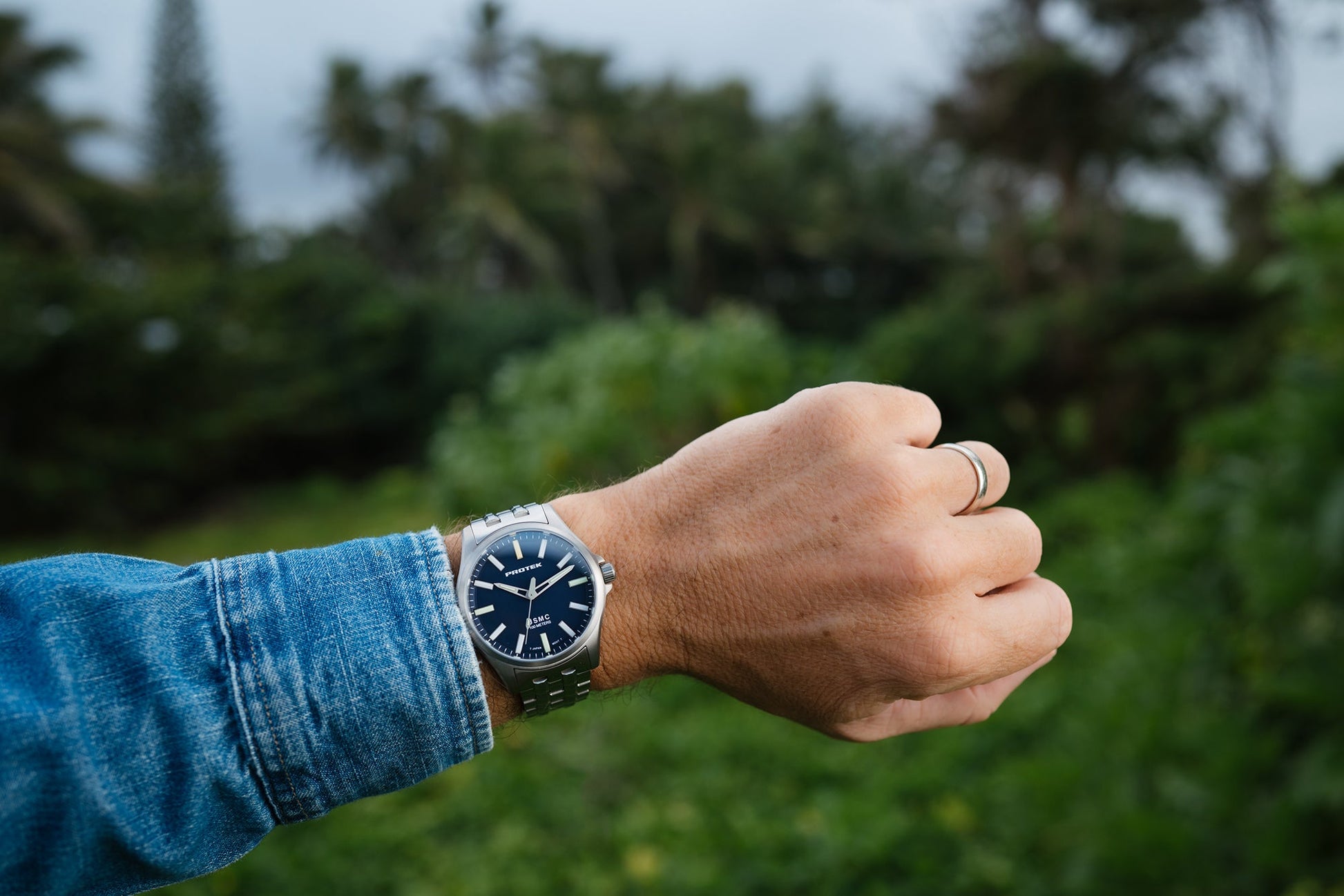 ProTek - Watch - Model PT3103BR - Veloce - The App For Watch Collectors